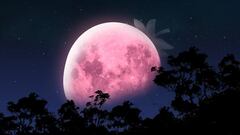 Calendario lunar junio 2024: fases lunares, Luna llena de Fresa, solsticio de verano y lluvia de estrellas