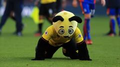 Sam Allardyce: "The Watford mascot was out of order"