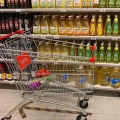 Bono Canasta Familiar: cuál es el cronograma y qué día me corresponde recibir el pago