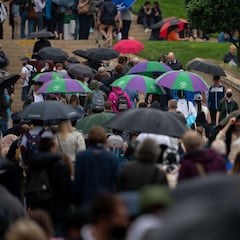 Feliciano, Andújar y Zapata no juegan; Martínez avanza y caen Davidovich y Carballés