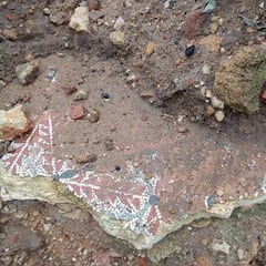 Se ponen a caminar por la playa un día lluvioso y se topan con un mosaico romano emergido de la arena: ¡Mira, eso no son azulejos!"