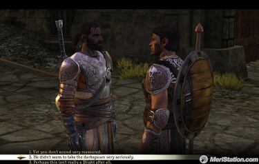 Dragon Age: Origins, Entrevista