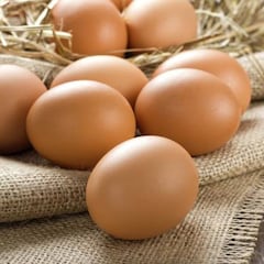 ¿Qué significan los números que tienen los huevos?