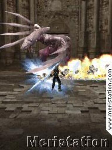 Ninja Gaiden Dragon Sword