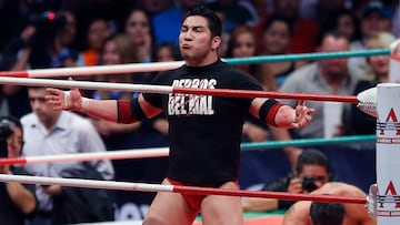El Hijo del Perro Aguayo en una lucha con Triple A.
