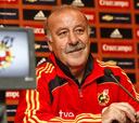 Del Bosque devolvió la ilusión a España