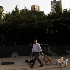 Coronavirus México: ¿Qué significa aplanar la curva?