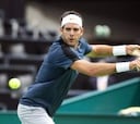 Del Potro, segundo argentino tras Vilas que gana el torneo