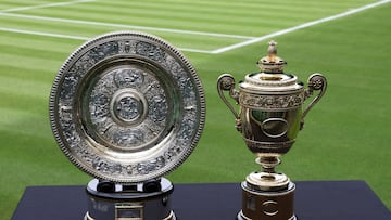 Novak Djokovic and Nick Kyrgios, who on Sunday battle it out for the Gentleman’s Singles Trophy, will both pick up seven-figure Wimbledon prize money.