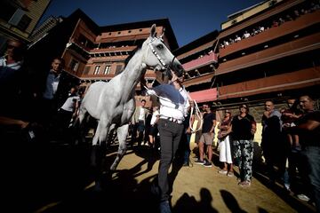 El Palio de Siena (Palio di Siena) es una carrera de caballos de origen medieval que enfrenta a los distritos de la ciudad italiana dos veces al año. La primera del año se celebra el 2 de julio (Palio di Provenzano) y la segunda el 16 de agosto (Palio del