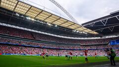 El Tottenham juega en el estadio imperial de Wembley porque White Hart Lane est&aacute; en obras desde hace un a&ntilde;o y medio.