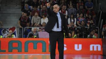 Pablo Laso, durante la final ante el Baskonia.