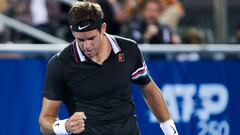 Del Potro, frenado por su físico