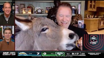 The Manning brothers had  actor and former governor Arnold Schwarzenegger on their show when he decided to feed his adorable donkey, Lulu.