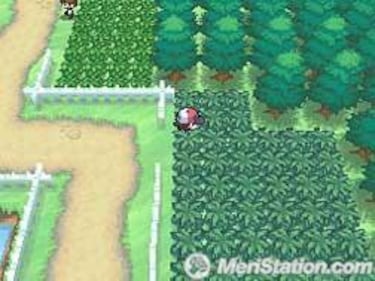 Pokémon Black & White