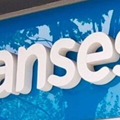 ANSES: cronograma, fecha de cobro y pagos de AUH, AUE y jubilados, hoy, 23 de junio