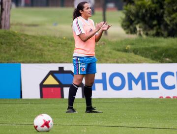 Selección Colombia adelanta el primer microciclo de trabajos en Bogotá de cara a la Copa América de Chile 2018.