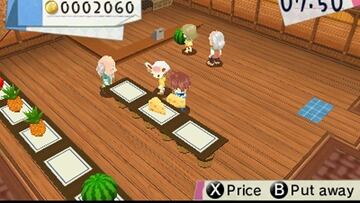 Captura de pantalla - Hometown Story (3DS)