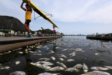 Este es el aspecto de las cercanías de la Bahía de Guanabara, donde tendrán lugar las regatas de los JJOO. Roberto Freitas, atleta brasileño que participará, tuvo que entrenar ante una laguna repleta de peces muertos.