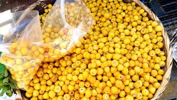 No es el plátano: la fruta mexicana que se ha consolidado como gran fuente de hierro y vitamina K