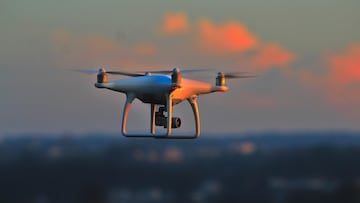 Un dron láser hace un descubrimiento sorprendente de 5.000 años de antigüedad en estos bosques