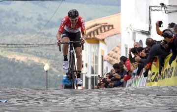 Una vuelta por etapas que con esta hace 65 ediciones y que tiene entre sus ganadores a Julián Gorospe, Stefano della Santa, Erik Zabel, Oscar Freire o Alejandro Valverde con cinco victorias, siendo el ciclista que más veces la ha ganado. En la foto Tim Wellems vencedor de la carrera en la meta de Alcalá de los Gazules.