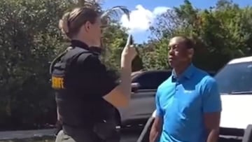 La detención de Tiger ve la luz: “Miré el móvil un momento y ¡boom!"