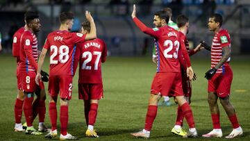 Los jugadores del Granada celebran el 0-2, obra de Jorge Molina.