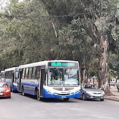 ¿Hay paro de colectivos y trenes el día del Censo y cuáles son los horarios?