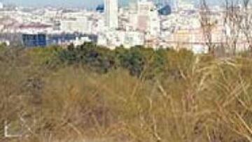 <b>CERCANO A MADRID. </b>Desde los terrenos de Venta de la Rubia, en Alcorcón, se divisa perfectamente el centro de Madrid.