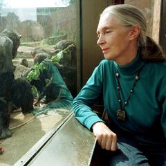 Muere Jane Kudal, la mujer que revolucionó el estudio de los animales