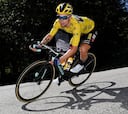 Roglic: “No sé si podré tomar la salida en el Tour de Francia”