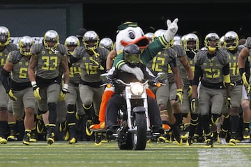  Los "patos" son el animal distintivo de los equipos de basquetbol, futbol americano, sóftbol, beisbol y voleibol de una de las universidades más importantes de Estados Unidos. Su división de futbol americano ganó el Rose Bowl en 1917, 2012 y 2015. Su mascota es, nada más y nada menos, que el mismo Pato Donald, esto tras la aprobación de Disney.
