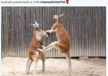 Los memes que deja el Chile - Australia de Confederaciones