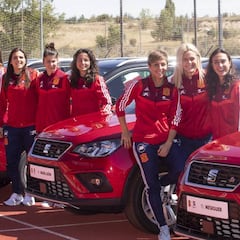 Las marcas se vuelcan con La Roja