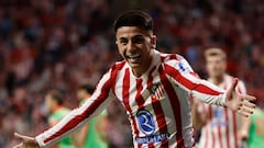 Atlético de Madrid 1-0 Osasuna: resumen, gol y resultado