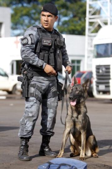 Tres meses antes de la Copa del Mundo de la FIFA, la Policía Militar de Brasilia, prepara a los perros que trabajarán en la seguridad del evento, en Brasilia. 23 animales están siendo entrenados para detectar explosivos, drogas y armas. Los perros realizarán entrenamiento en autobuses similares a los utilizados por las delegaciones de los países participantes en Brasil 2014. 