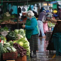 Bonos por Dignidad: pagos, fechas y quiénes podrían ser beneficiarios