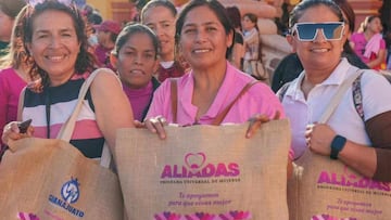 Los 20 nuevos programas sociales de “Mujeres Aliadas” que beneficiará a miles en Guanajuato