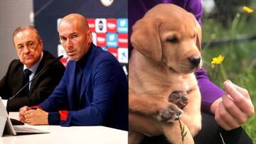 Zidane se va, pero Zizou llega a casa de Florentino Pérez