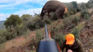 Un ciervo vuela por encima de un cazador en Cáceres y deja una instantánea única en la historia de la caza