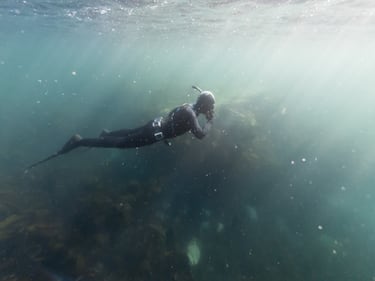 El Campeonato Mundial de Buceo en Pantanos (World Bog Snorkelling Championship) es un evento deportivo anual increíblemente peculiar y divertido que se celebra en Llanwrtyd Wells, Gales. Es considerado por muchos, incluyendo a Lonely Planet, como una de las 50 cosas "imprescindibles" en el mundo. Los competidores deben completar dos largos consecutivos de una zanja de aproximadamente 55 metros (60 yardas) de largo, llena de agua y turba, cortada a través de un pantano. El objetivo es hacerlo en el menor tiempo posible.