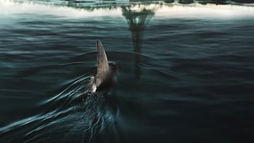 Un tiburón gigante aterroriza París en el primer tráiler de ‘En las profundidades del Sena’