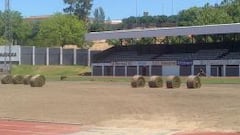 El Municipal de Plasencia acoge el césped viejo del Calderón