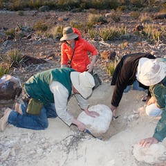 ¿Se podrían revivir genéticamente los dinosaurios?