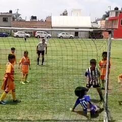Viral love after kid keeper makes quadruple save