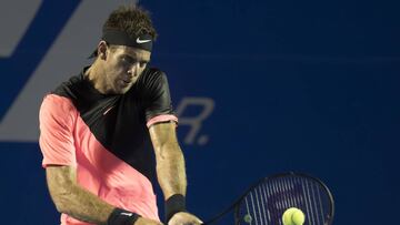 Juan Mart&iacute;n del Potro, Abierto Mexicano de Tenis