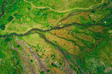 Sistema complejo de ríos y arroyos en los Pirineos, entre España y Francia, que simula el sistema nervioso humano.