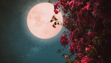 La próxima luna llena está por llegar. Este viernes, 21 de junio, se podrá apreciar la Luna de Fresa o Strawberry Moon, pero ¿cuál será la mejor hora para verla?