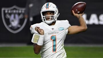 Con cuatro boletos disponibles para los playoffs, Dolphins es uno de cinco equipos de la Conferencia Americana que buscar&aacute;n clasificar en la semana 17.